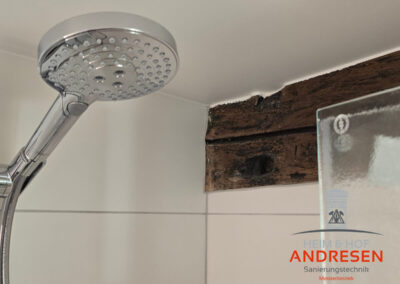 Modernes Bad mit Dusche und Holzelement